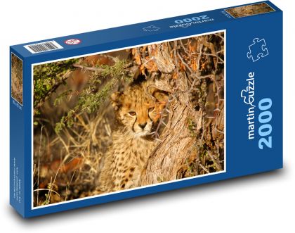 Leopard - Puzzle 2000 pieces, size 90x60 cm 