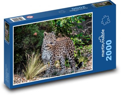 Leopard - Puzzle 2000 pieces, size 90x60 cm 