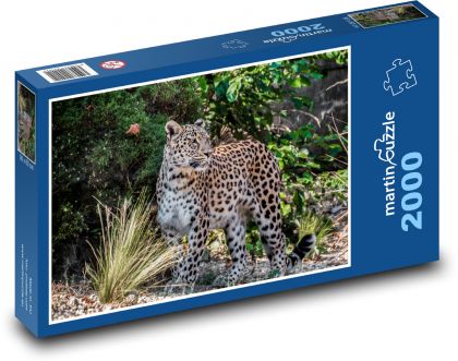 Leopard - divoká šelma - Puzzle 2000 dielikov, rozmer 90x60 cm 