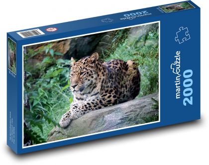 Leopard - Puzzle 2000 dílků, rozměr 90x60 cm