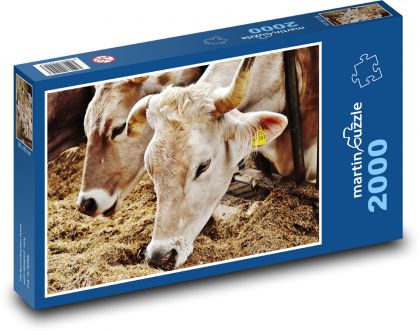 Krowy w gospodarstwie - Puzzle 2000 elementów, rozmiar 90x60 cm