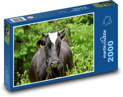 Czarna krowa - Puzzle 2000 elementów, rozmiar 90x60 cm