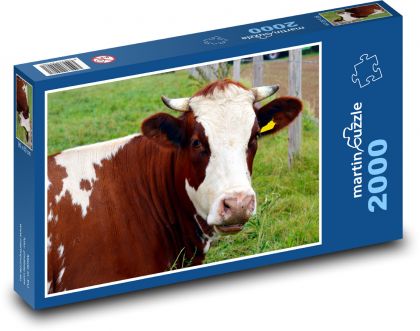 Kráva na farmě - puzzle 2000 dílků