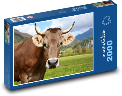 Býk s rohmi - Puzzle 2000 dielikov, rozmer 90x60 cm 