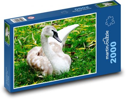 Labuť sedící v trávě - puzzle 2000 dílků