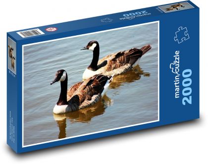 Geese on the pond - Puzzle 2000 pieces, size 90x60 cm 