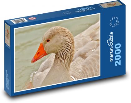 Elegancka gęś na stawie - Puzzle 2000 elementów, rozmiar 90x60 cm