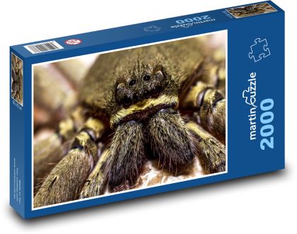 Pavouk - Puzzle 2000 dílků, rozměr 90x60 cm