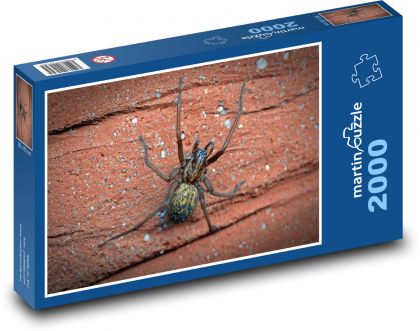 Langbeinige Spinne - Puzzle - 2000 Teile