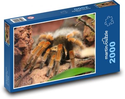 Pavouk - Puzzle 2000 dílků, rozměr 90x60 cm