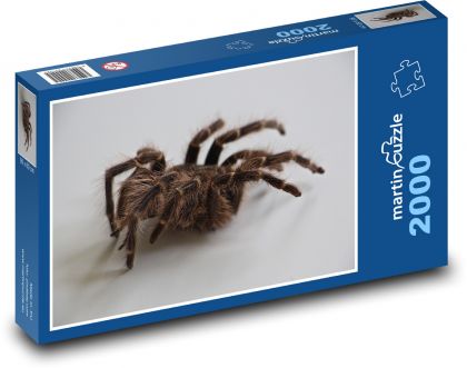 Tarantula - nocny pająk - Puzzle 2000 elementów, rozmiar 90x60 cm
