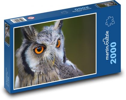 Noční král - sova - puzzle 2000 dílků