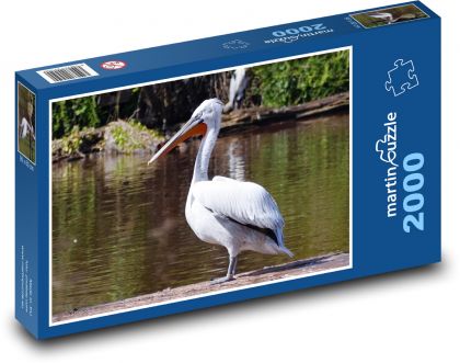 Bird - pelican by the pond - Puzzle 2000 pieces, size 90x60 cm 