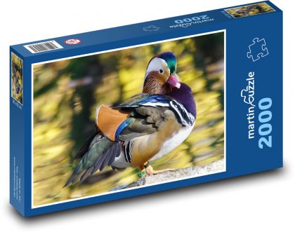 Pták - kachna mandarinská - puzzle 2000 dílků