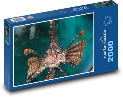 Perutýn - mořská ryba - puzzle 2000 dílků