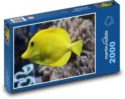 Žltá ryba - bodlok - Puzzle 2000 dielikov, rozmer 90x60 cm 