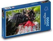 Ryby Puzzle 2000 elementów - 90x60 cm