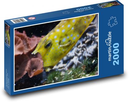 Yellow spotted fish - Puzzle 2000 pieces, size 90x60 cm 