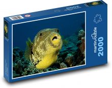 Rechteck in einem Korallenriff Puzzle 2000 Teile - 90 x 60 cm