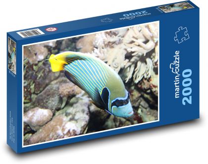 Morské ryby so žltým chvostom - Puzzle 2000 dielikov, rozmer 90x60 cm 