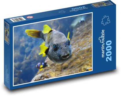 Ryba - Puzzle 2000 dílků, rozměr 90x60 cm