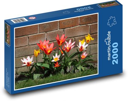 Kvety - Puzzle 2000 dielikov, rozmer 90x60 cm 