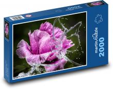 Fialová pivoňka Puzzle 2000 - 90x60 cm