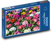 Flowers - Primrose Puzzle 2000 pieces - 90 x 60 cm