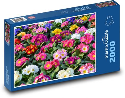 Kvety - Primrose - Puzzle 2000 dielikov, rozmer 90x60 cm 