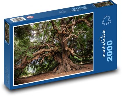 Olivovník, strom - Puzzle 2000 dílků, rozměr 90x60 cm