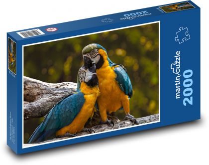 Papoušci - Ara - Puzzle 2000 dílků, rozměr 90x60 cm