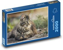 Odpoczywający kot Puzzle 2000 elementów - 90x60 cm