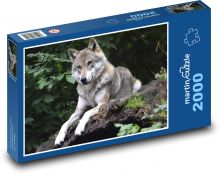 Wilk - zwierzę Puzzle 2000 elementów - 90x60 cm