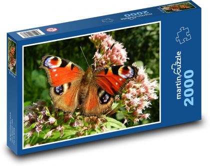 Motýl - Puzzle 2000 dílků, rozměr 90x60 cm