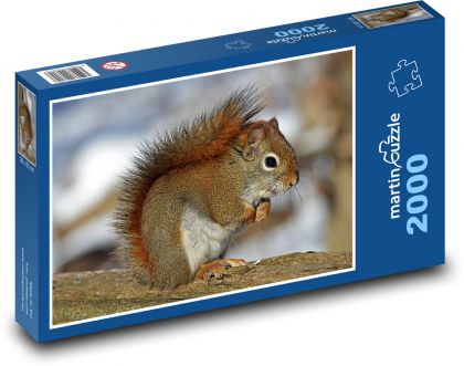 Squirrel - red-haired, rodent - Puzzle 2000 pieces, size 90x60 cm 