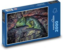 Jašterica na skale, jašterica Puzzle 2000 dielikov - 90 x 60 cm