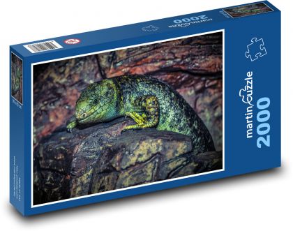 Lizard on the rock, lizard - Puzzle 2000 pieces, size 90x60 cm 