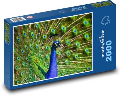 Peacock with extended tail - Puzzle 2000 pieces, size 90x60 cm 