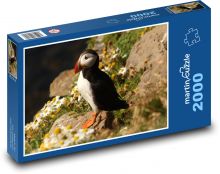 Papuchalk bělobradý, mořský pták v přírodě Puzzle 2000 dílků - 90 x 60 cm