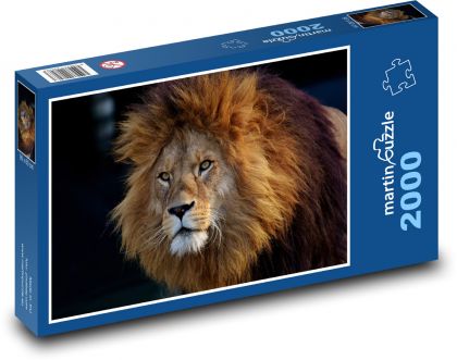 Lev - zvíře - Puzzle 2000 dílků, rozměr 90x60 cm