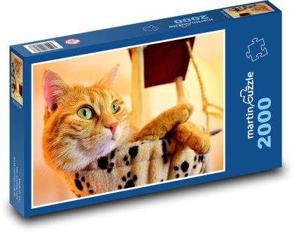 Cat - Puzzle 2000 pieces, size 90x60 cm 