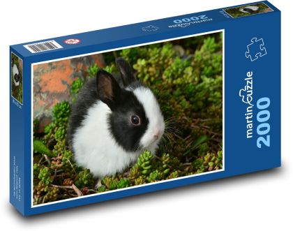 Kaninchen - Puzzle - 2000 Teile