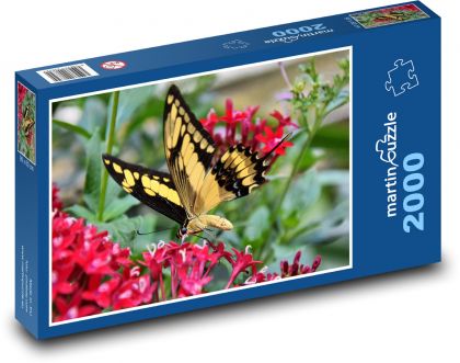 Motýl - Otakárek fenyklový - Puzzle 2000 dílků, rozměr 90x60 cm