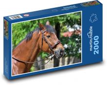 Koń Puzzle 2000 elementów - 90x60 cm