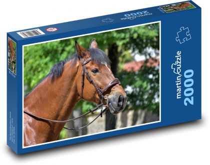 Koń - Puzzle 2000 elementów, rozmiar 90x60 cm