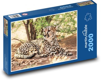 Gepard - Afrika - Puzzle 2000 dílků, rozměr 90x60 cm