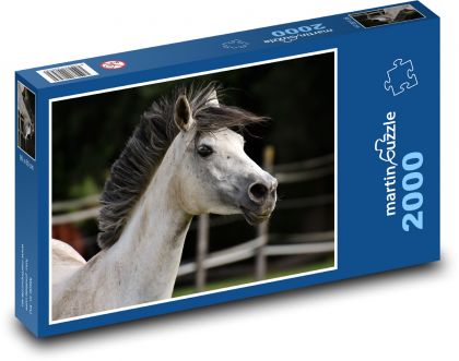 Kůň - bělouš - Puzzle 2000 dílků, rozměr 90x60 cm