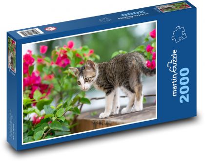 Katze - Puzzle - 2000 Teile