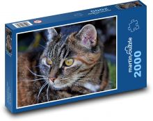 Mačka Puzzle 2000 dielikov - 90 x 60 cm