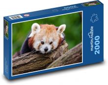 Panda červená Puzzle 2000 dílků - 90 x 60 cm